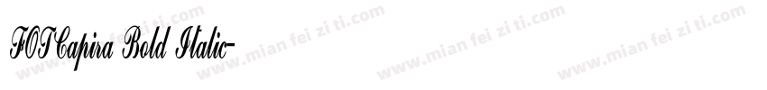FOTCapira Bold Italic字体转换